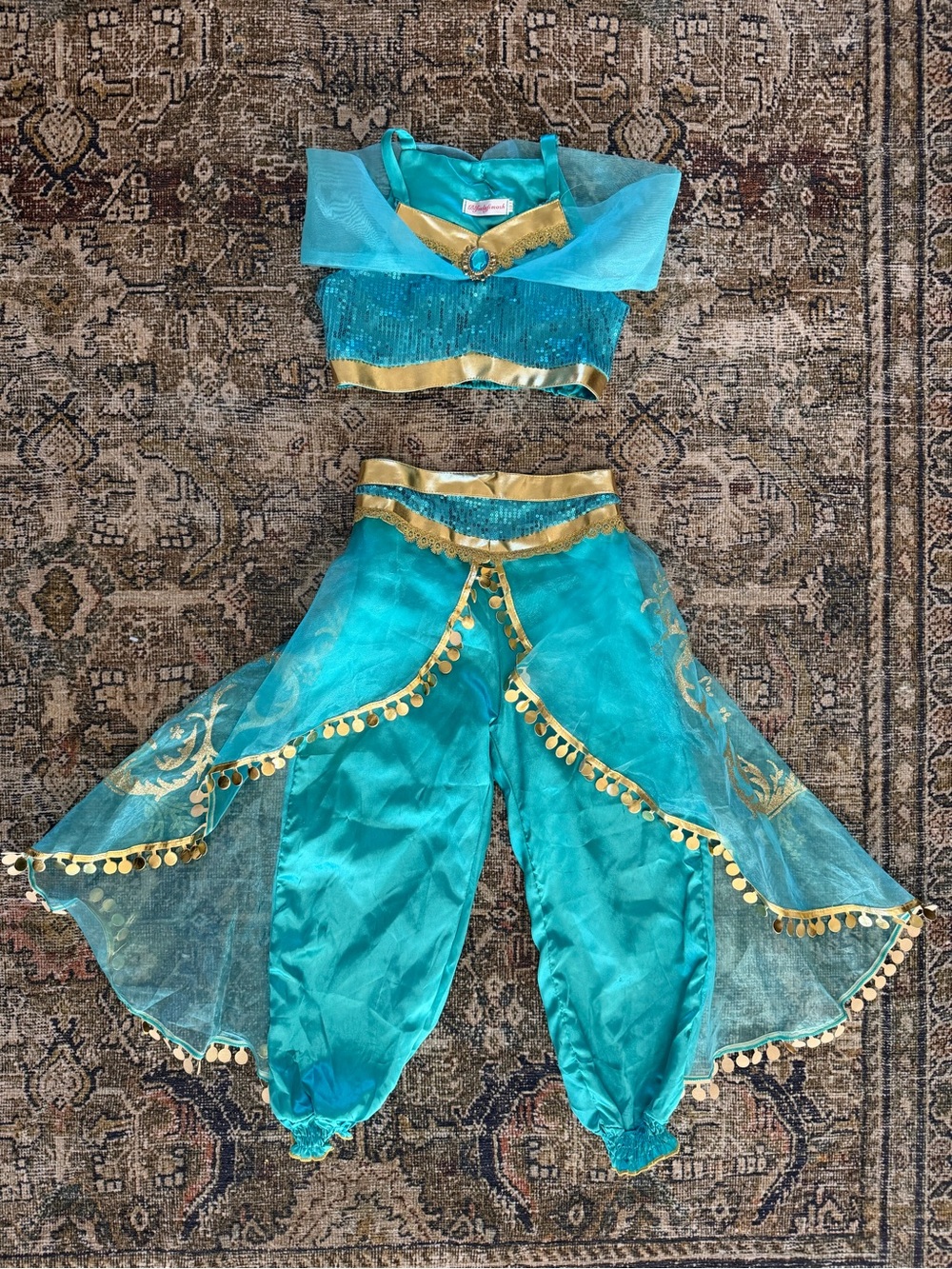 Princess Jasmine Costume